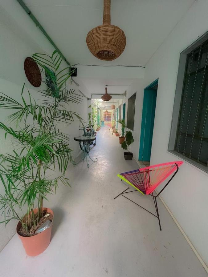 Casa Calido Hotel Cozumel Bagian luar foto
