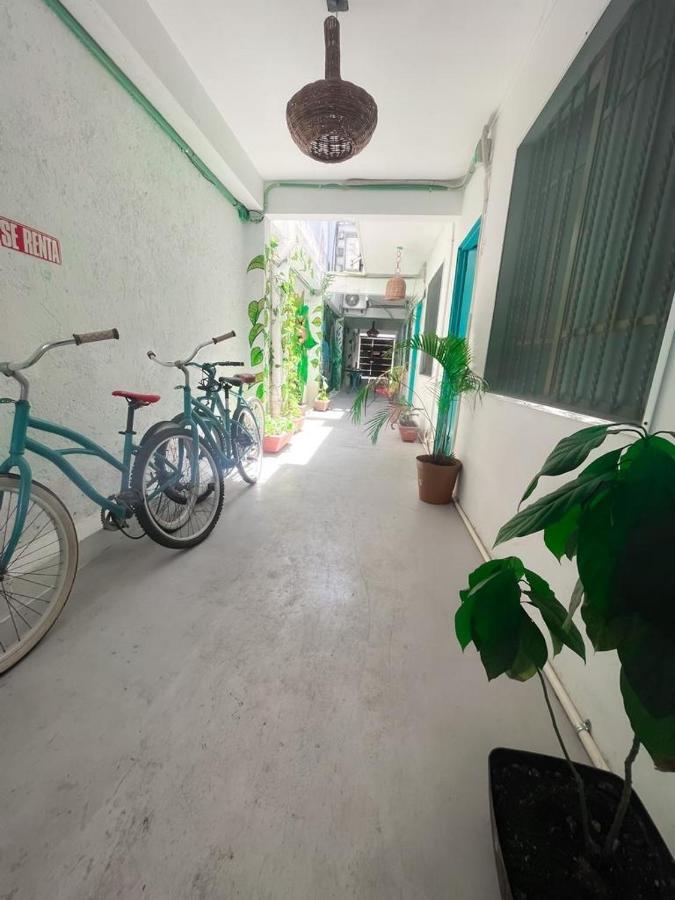 Casa Calido Hotel Cozumel Bagian luar foto