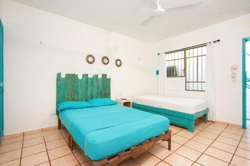 Casa Calido Hotel Cozumel Bagian luar foto